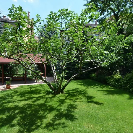 Vendégház Fig Tree House 3*